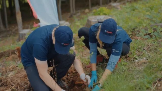 Bosch eXchange - razem posadziliśmy aż 10 000 drzew смотреть онлайн