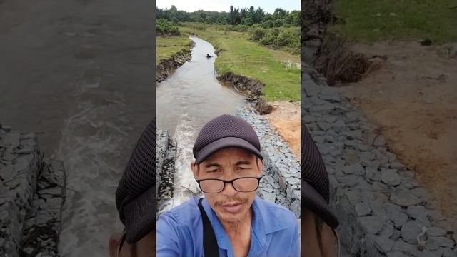 Huan Hun Von Huang Shi Bin West Borneo,scb:Vienna Kedyagrace 2022,20,26.