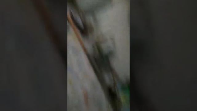 первый подлеток Сенегал смотреть онлайн