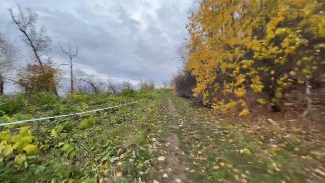 Лучшее место для отдыха, красивые виды. Осень 2023