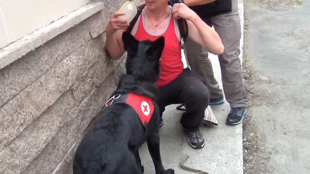 Магия окончание 09.07.13 смотреть онлайн