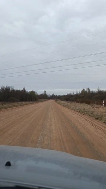 едем в лес смотреть онлайн