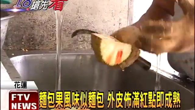 颱風青菜少 「麵包果」料理意外搶手－民視新聞 смотреть онлайн