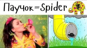 Детская песня «Крошка Паучок» | Kids Song «Itsy Bitsy Spider»