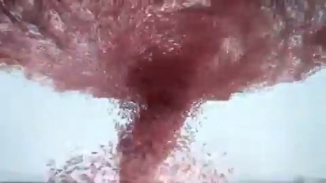 Duracell Ultra - Bunny Fusion