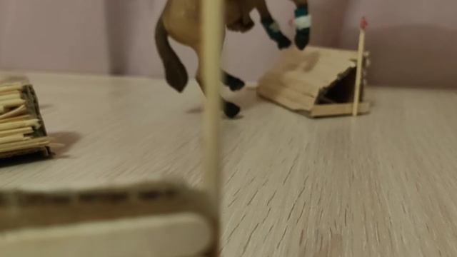 соревнования шляйх смотреть онлайн