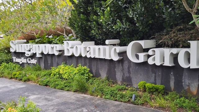 Singapore's botanical gardens. A green heaven for rejuvenation. смотреть онлайн