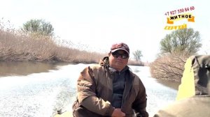 Рыбалка в Астраханской обл. пос. МУМРА,  Весна. Красивая природа, сазан, поставушка, спининг, жмых