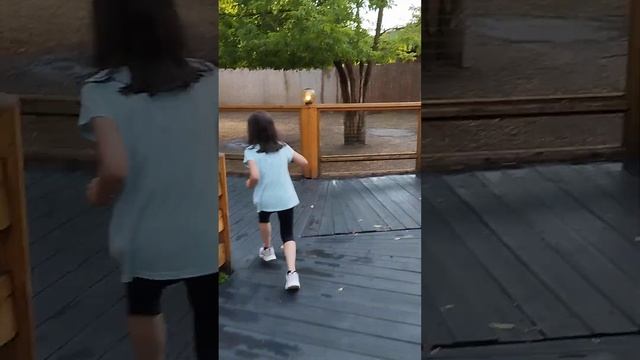 В альпака парке в Сказке