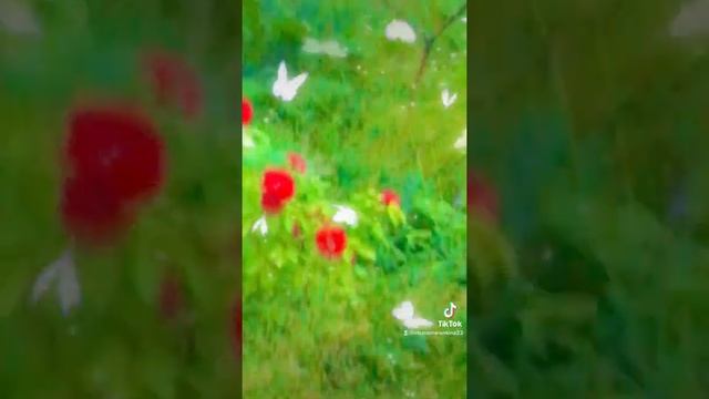 Один день… Татьяна Буланова & Леночка Желанкина.