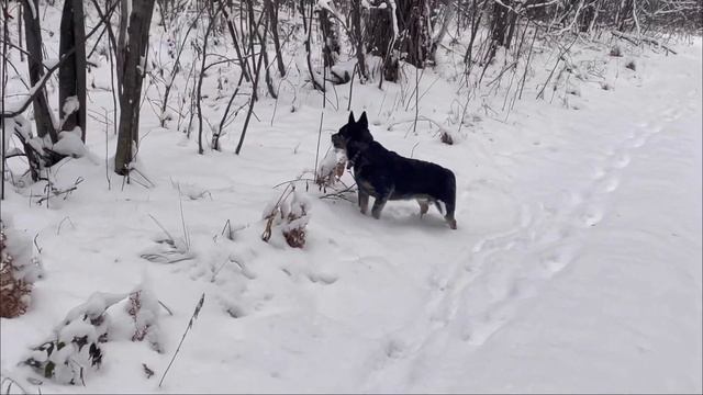 У нас небольшая травма.
