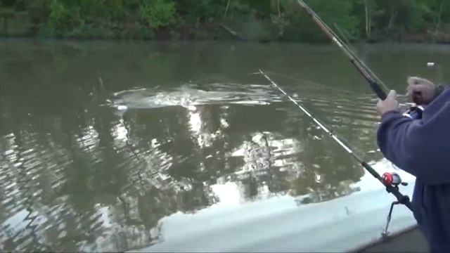 Clear board planer boards catch stiped bass смотреть онлайн