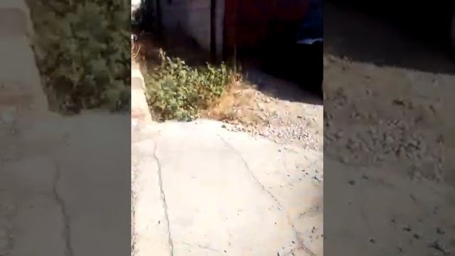 Анна, Мари и Ната в проклятом стадионе смотреть онлайн