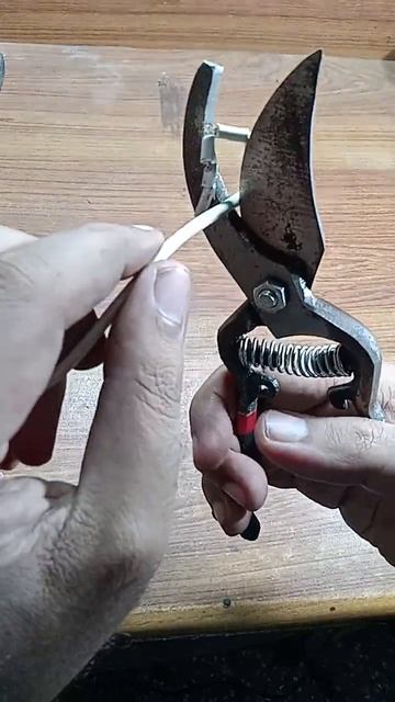 garden scissor to cut a wire experiment смотреть онлайн