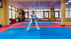 Техника рук (удары и блоки) тхэквондо