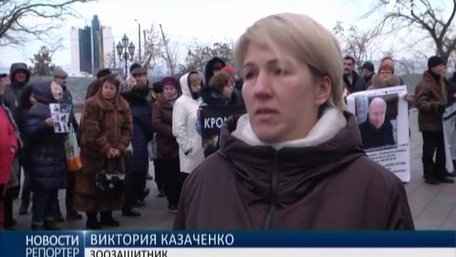 Защитники животных пикетировали мэрию смотреть онлайн