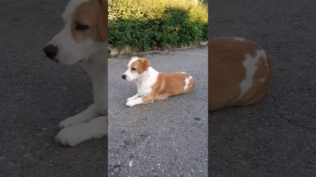 Рассказываю о себе смотреть онлайн