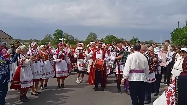 "Ты скажи, ромашка" на зваротным шэсьці з поля. Юраўскі карагод у в. Пагост (Тураўшчына). 06.05.24 смотреть онлайн