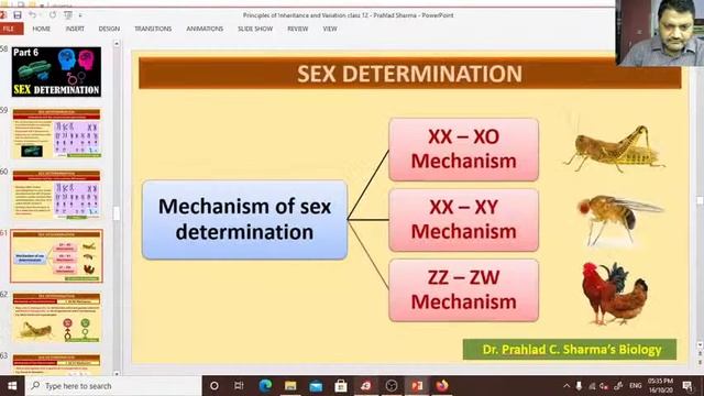 Rapid Revision-Principle of Inheritance & Variation -2 смотреть онлайн