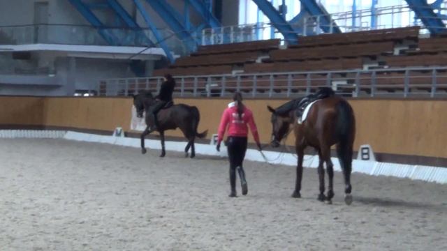 Конь Ван-Гог видео 1 смотреть онлайн