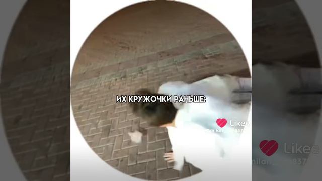 Цуефа видео