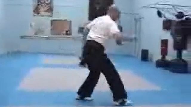 Bruce Currie's Fighting System The Leopard смотреть онлайн