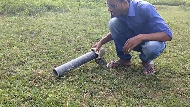 কাল সাপ смотреть онлайн