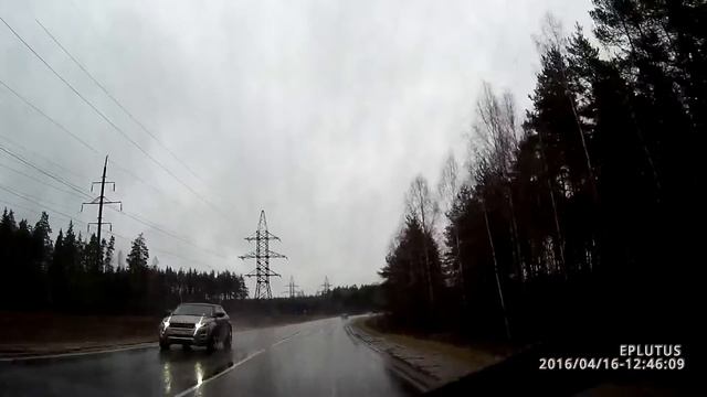 бабочки на обочине