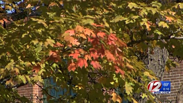 Autumn colors appear in Blackstone Valley foliage смотреть онлайн