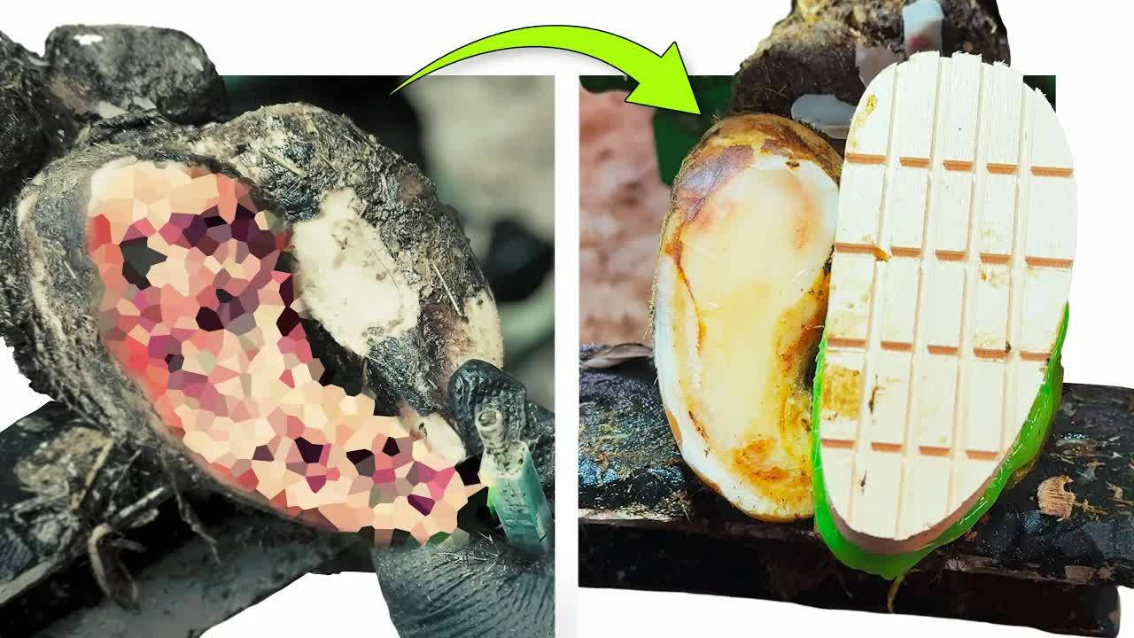 ＊INCREDIBLE＊ Hoof TRANSFORMATIONS!