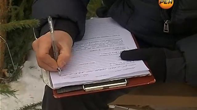 Легальные ёлки в Марий Эл смотреть онлайн