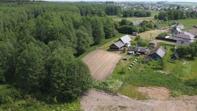 Даниловичи смотреть онлайн