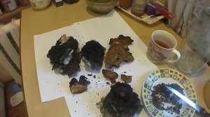 ЧАГА берёзовый. Как пить и для чего_