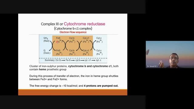 Electron transport chain sequence смотреть онлайн