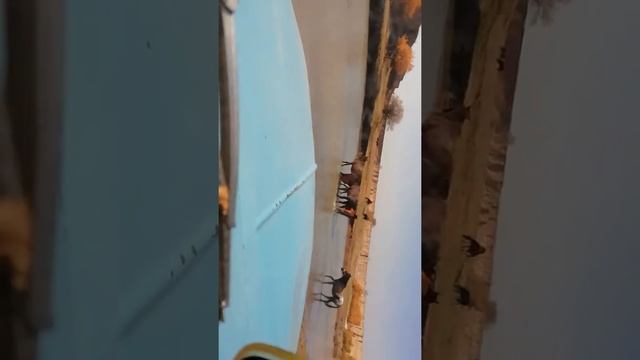 Будни на Газ 53 смотреть онлайн