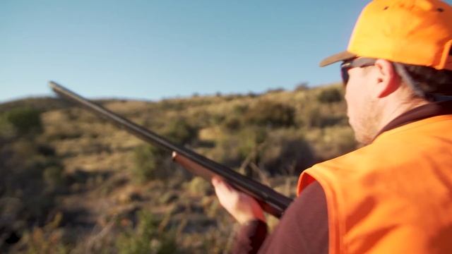 California Quail смотреть онлайн