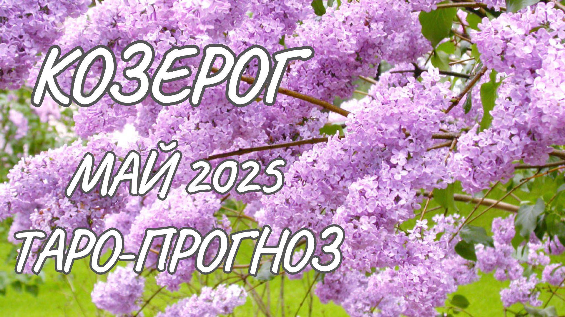 Козерог ♑ Таро-прогноз на май 2025 года смотреть онлайн