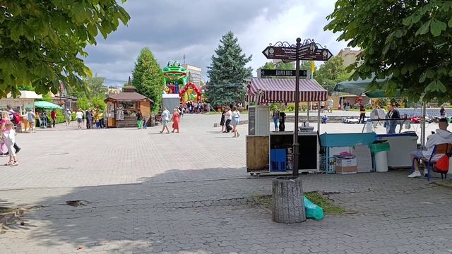 Гортензия дуболистная в центре Трускавца смотреть онлайн