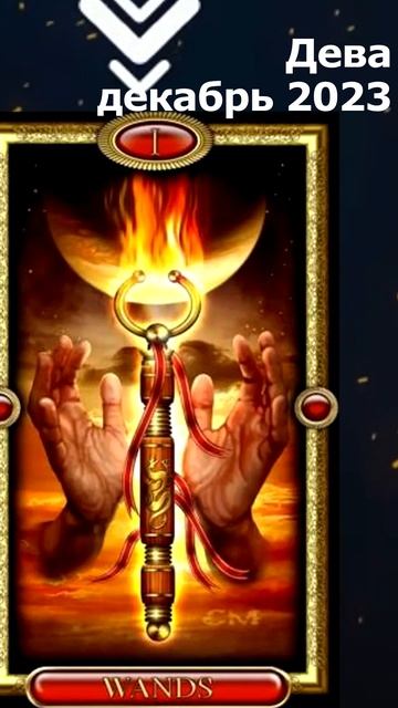 Дева декабрь 2023