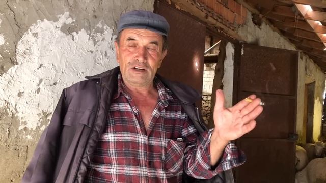 60 KOYUNDAN 120 KUZU ALIYOR / YOUTUBER ÇOBAN YUNUS YILDIZ смотреть онлайн