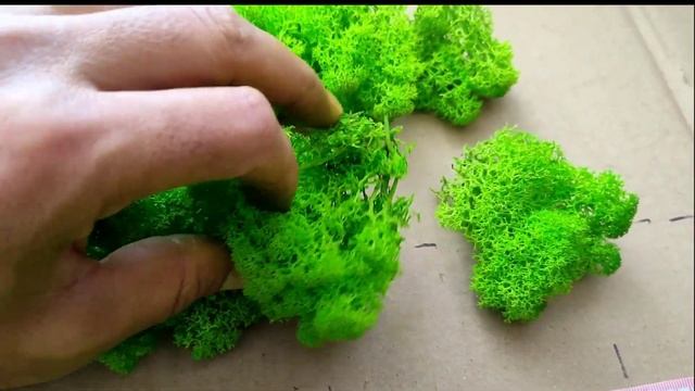 Колко са 50гр мъх? Каква е разликата между почистен и непочистен мъх скандинавски мъх? смотреть онлайн