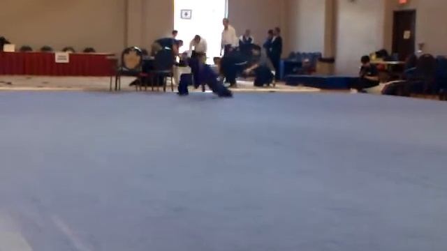2010 Wushu Canadian Junior Nationals - Madeline Hui CQ смотреть онлайн