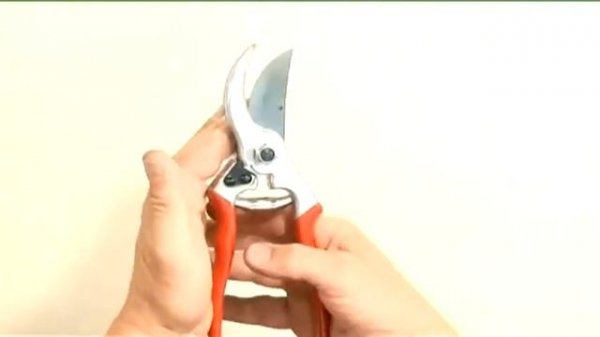 ОДНОРУЧНЫЕ СЕКАТОРЫ FELCO - СМАЗЫВАНИЕ (schetelig.com.ua)