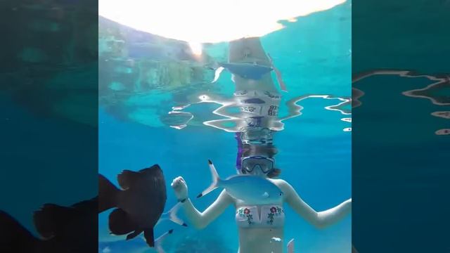 Egypt Red Sea Hurghada 2017 смотреть онлайн