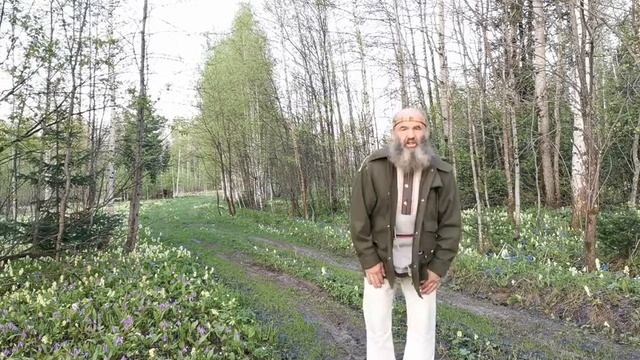 Благодарение Михаила Лапина 1 мая 2020 года смотреть онлайн