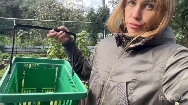 ОХОТА на УТКУ, спасла потерянного КОТА +1 новый питомец смотреть онлайн