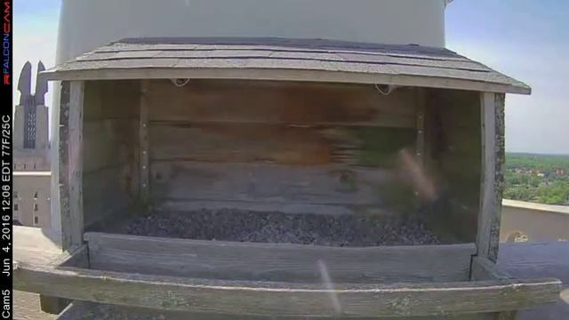 Camera 5 - 06/04/16 смотреть онлайн
