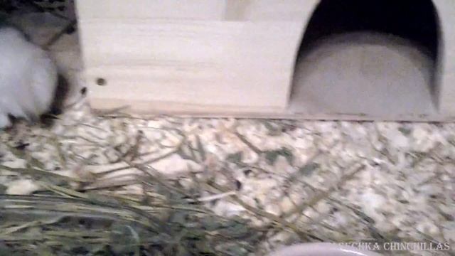 Малыш и люцерна))) смотреть онлайн