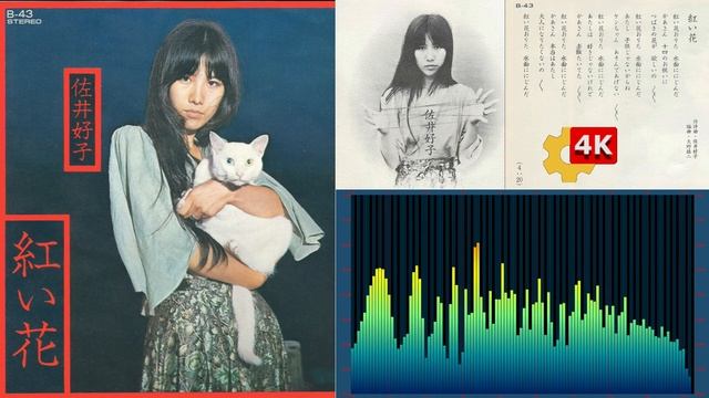 【👆Yoshiko Sai 4K🔍】✨佐井好子❤ - ✿紅い花🎻超レアなシングル・ヴァージョン🌹Akai Hana👩Red Flowers👍super rare 7‘’ single version смотреть онлайн