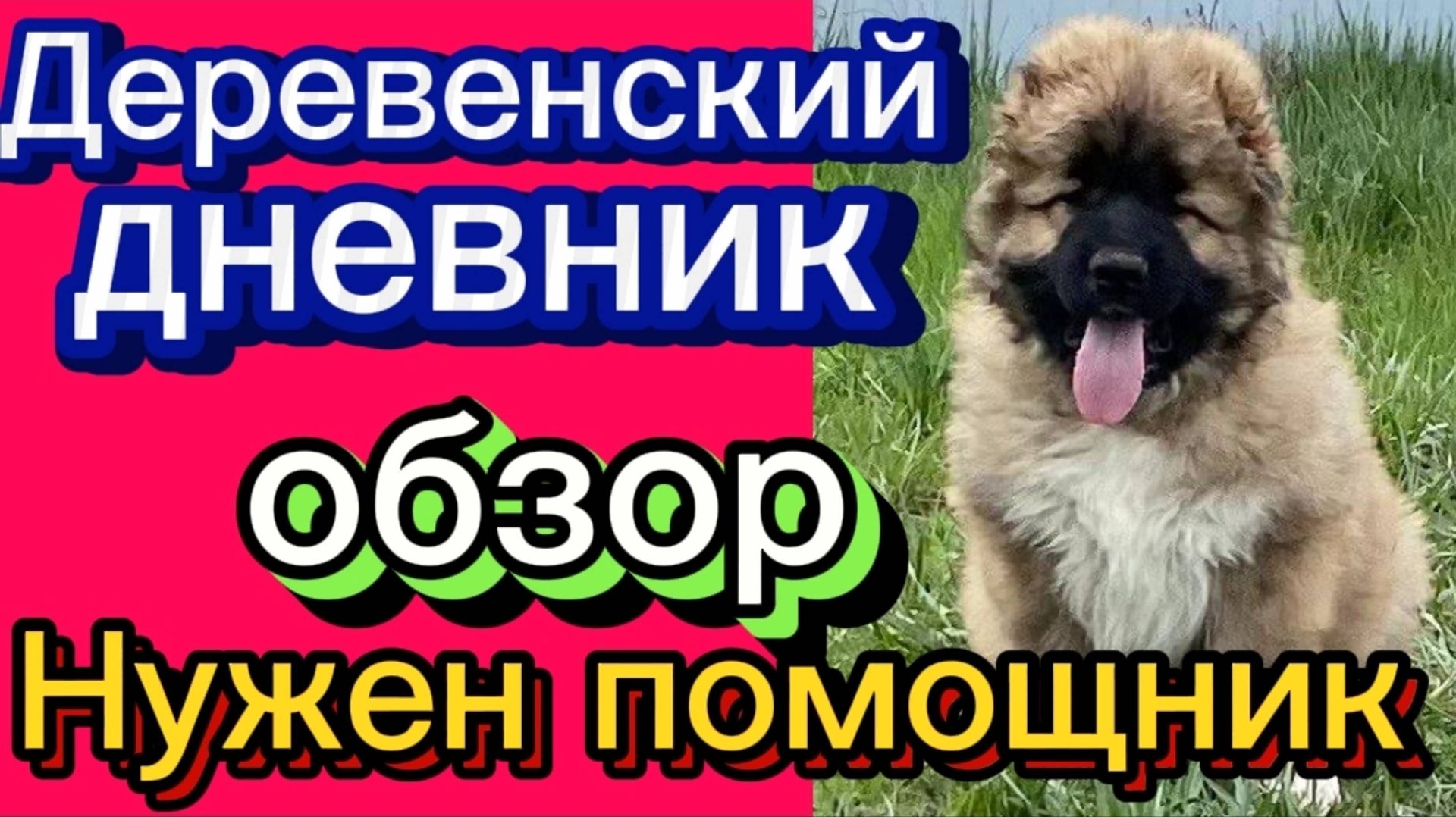 ДЕРЕВЕНСКИЙ ДНЕВНИК ОЧЕНЬ МНОГОДЕТНОЙ МАМЫ. "ПОМОЩНИК" смотреть онлайн